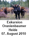 Exkursion am 07. August 2010 in die Oranienbaumer Heide