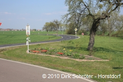 Blick vom Ortausgang Gohrau in Richtung Rehsen