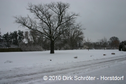 Der Dorfplatz in Vockerode am Neujahrstag 2010