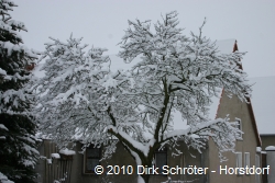 Winterliche Impression aus Horstdorf 