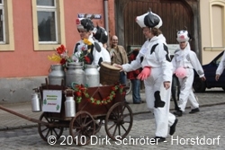 Umzug Fr&uuml;hlingserwachen 2010 in W&ouml;rlitz