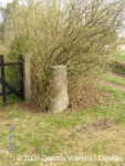 Der Meilenstein in Coswig an einer Gartenanlage