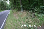 Der Meilenstein an der Straße von Sollnitz nach Muldenstein in Höhe der Einmündung Möhlau