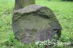 Gedenkstein an der Erinnerungseiche im Schillerpark in Dessau