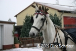 Umzug der Weihnachtsmänner 2009 in Horstdorf