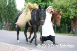 Landfrau beim Umzug am 21.06.2008 zur 300 Jahrfeier der Gemeinde Horstdorf